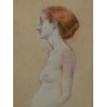 AARON SHIKLER (1922-2015) ARR. HALF LENGTH NUDE STUDY, INITIALLED AND DATED 1982, GALLERY LABEL