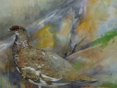 EMMA FALL (20th/21st.C.) ARR. PTARMIGAN, SIGNED WATERCOLOUR. 35 x 44cms.