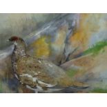 EMMA FALL (20th/21st.C.) ARR. PTARMIGAN, SIGNED WATERCOLOUR. 35 x 44cms.