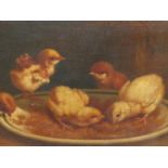 19th.C.ITALIAN SCHOOL. THE PECKING ORDER, SIGNED INDISTINCTLY AND LOCATED ROME, OIL ON CANVAS 32 x