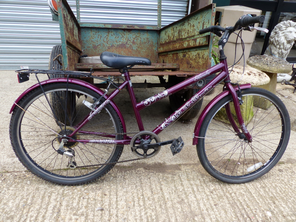 A LADIES BICYCLE.