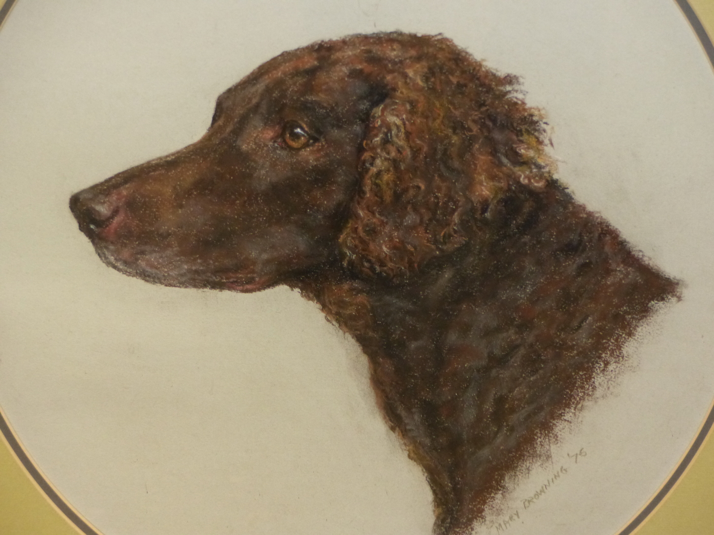 MARY BROWNING (20th/21st.C.). ARR. OVAL PORTRAIT OF A SPANIEL. PASTEL, SIGNED. H. 46cm x 40cm.