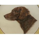 MARY BROWNING (20th/21st.C.). ARR. OVAL PORTRAIT OF A SPANIEL. PASTEL, SIGNED. H. 46cm x 40cm.