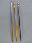 TWO HORN TOPPED WALKING CANES TOGETHER WITH A BONE TOPPED WALKING CANE, THE FORMER WITH WHITE