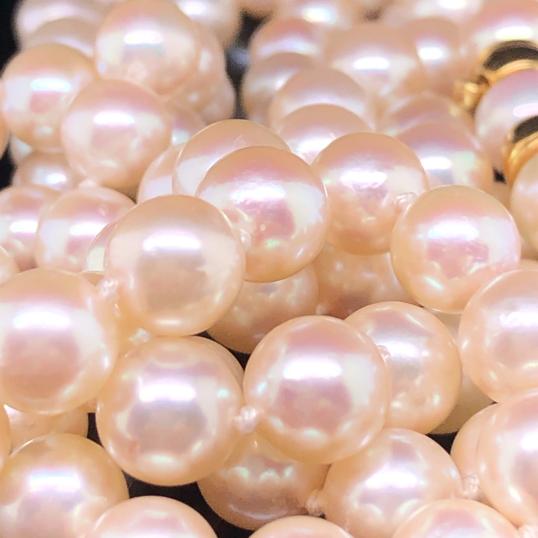 A OPERA LENGTH CULTURED PEARL NECKLACE COMPLETE WITH AN INTEGRAL 18ct GOLD CLASP, AND A SMALL - Image 2 of 5