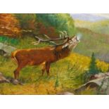 ENGLISH SCHOOL. A STAG IN HIGHLAND LANDSCAPE. SIGNED INDISTINCTLY, OIL ON BOARD. 40 x 51cms.