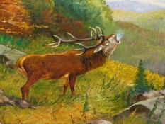 ENGLISH SCHOOL. A STAG IN HIGHLAND LANDSCAPE. SIGNED INDISTINCTLY, OIL ON BOARD. 40 x 51cms.