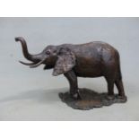 JANE HAMILTON (b. 1950). ARR. AFRICAN ELEPHANT. SIGNED BRONZE. H. 46cm.