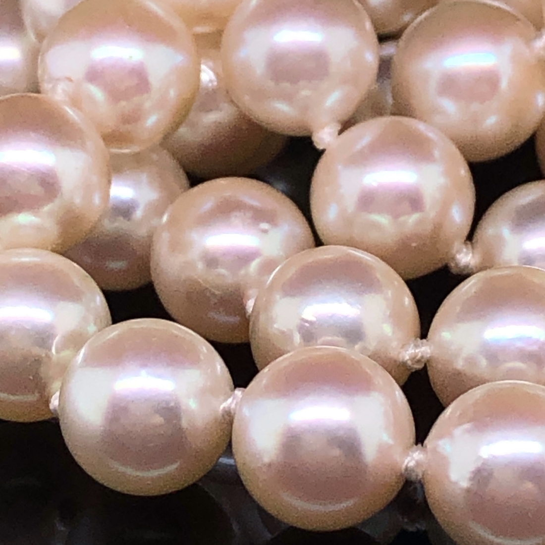 A OPERA LENGTH CULTURED PEARL NECKLACE COMPLETE WITH AN INTEGRAL 18ct GOLD CLASP, AND A SMALL - Image 4 of 5