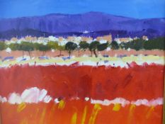 IAN ELLIOT (b. 1946). ARR. MEADOWLAND, CALVIA. OIL ON BOARD, SIGNED. 28 x 28cms.