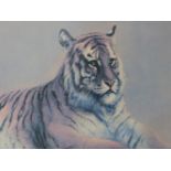 SPENCER ROBERTS (1920-1997). ARR. RED TIGER. PENCIL SIGNED LIMITED EDITION COLOUR PRINT. 55 x 76cms.