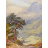 19th/20th.C. ENGLISH SCHOOL. A MOUNTAINOUS LANDSCAPE. WATERCOLOUR, SIGNED INDISTINCTLY. 39 x 33cms.