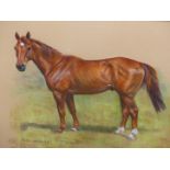 MARY BROWNING (20th/21st.C.). ARR. TWO HORSE PORTRAITS, BOTH OF "BANBRIDGE". PASTEL, SIGNED. SIZE OF