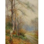 THOMAS TAYLER IRELAND (1894-1921). TWO WOODLANDS VIEWS. SIGNED WATERCOLOURS. 51 x 34cms (2).
