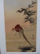 OHARA KOSON (1877-1945). PHEASANTS. SIGNED, WOODBLOCK PRINT. 33 x 18cms.