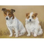 MARY BROWNING (20th/21st.C.). ARR. PORTRAIT OF TWO TERRIERS. PASTEL, SIGNED. 51 x 63cms.