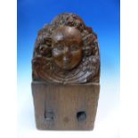 A 17th C. OAK BEAM END CARVED WITH THE HEAD OF A CURLY HAIRED ANGEL. W 15 x D 9 x H 28.5cms.