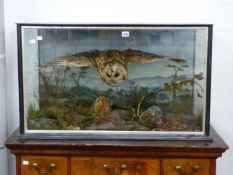 A TAXIDERMY BARN OWL IN FLIGHT WITHIN AN EBONISED CASE GLAZED ON THREE SIDES, LABELLED FOR ALFRED