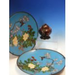 A PAIR OF JAPANESE CLOISONNE SKY BLUE GROUND DISHES ENAMELLED WITH BIRDS AND FLOWERS. Dia. 30.