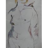 ANNA PASCOE (CONTEMPORARY SCHOOL). ARR. A FEMALE NUDE TORSO. WATERCOLOUR, SIGNED. 39 x 26cms.