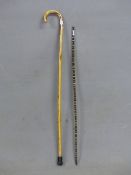 A HORN WALKING STICK OF AMBER HUE TOGETHER WITH A WALKING CANE FORMED OF HORN IN BANDS OF COLOURS