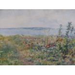 19th/20th.C. ENGLISH SCHOOL. A COASTAL MEADOW. WATERCOLOUR, SIGNED INDISTINCTLY. 29 x 39.5cms.