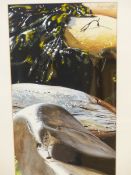 CONTEMPORARY SCHOOL. SEAWEED AND ROCKS. SIGNED INDISTINCTLY, GOUACHE. 70 x 20cms.