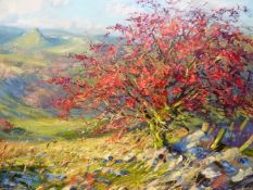 MARK PRESTON (b.1976). ARR. AUTUMN HAWTHORN, THE PEAK DISTRICT. ACRYLIC ON CANVAS, SIGNED. INSCRIBED