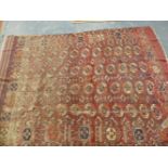 AN ANTIQUE TEKKE BOKHARA RUG. 243 x 187cms.