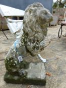 A PAIR OF COMPOSITION STONE LIONS ON RECTANGULAR BASES. H 73cms.