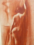 20th.C. SCHOOL. STANDING NUDE. CONTE CHALK DRAWING. 47 x 27cms.
