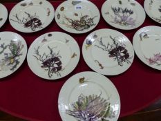 A SET OF TWELVE HAVILLAND, LIMOGES PORCELAIN PLATES DECORATED WITH SEAWEEDS, SHELLFISH, CRABS AND