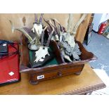 A CUTLERY TRAY, DECORATIVE STAG FRONTLETS ETC.