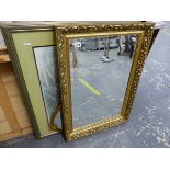 TWO GILT FRAMED MIRRORS AND A PRINT OF A TIGER.