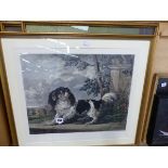 ENGRAVING OF A SPANIEL AND TWO FURTHER PRINTS.