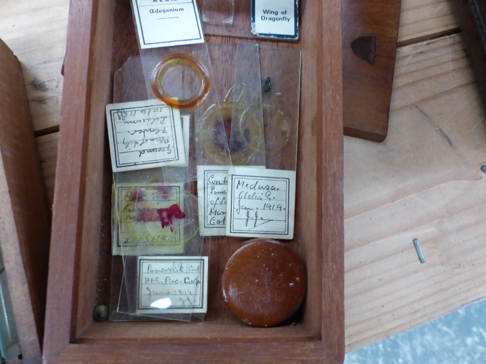 A BAUSCH AND LOMB MICROSCOPE IN MAHOGANY CASE, A SMALL COLLECTION OF MICROSCOPE SLIDES, A WALL SHELF - Image 4 of 6