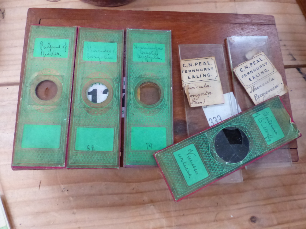 A BAUSCH AND LOMB MICROSCOPE IN MAHOGANY CASE, A SMALL COLLECTION OF MICROSCOPE SLIDES, A WALL SHELF - Image 2 of 6