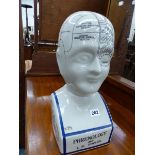 A PHRENOLOGY HEAD.