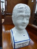 A PHRENOLOGY HEAD.