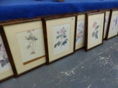 A GROUP OF UNIFORMLY FRAMED BOTANIC PRINTS.