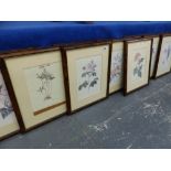 A GROUP OF UNIFORMLY FRAMED BOTANIC PRINTS.