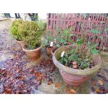 FIVE TERRACOTTA PLANT POTS OF VARIOUS SIZES.