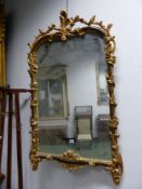 A RECTANGULAR MIRROR IN FAUX BOIS AND GILT FRAME, PIERCED FOLIAGE CRESTING THE ROUNDED TOP AND VINES