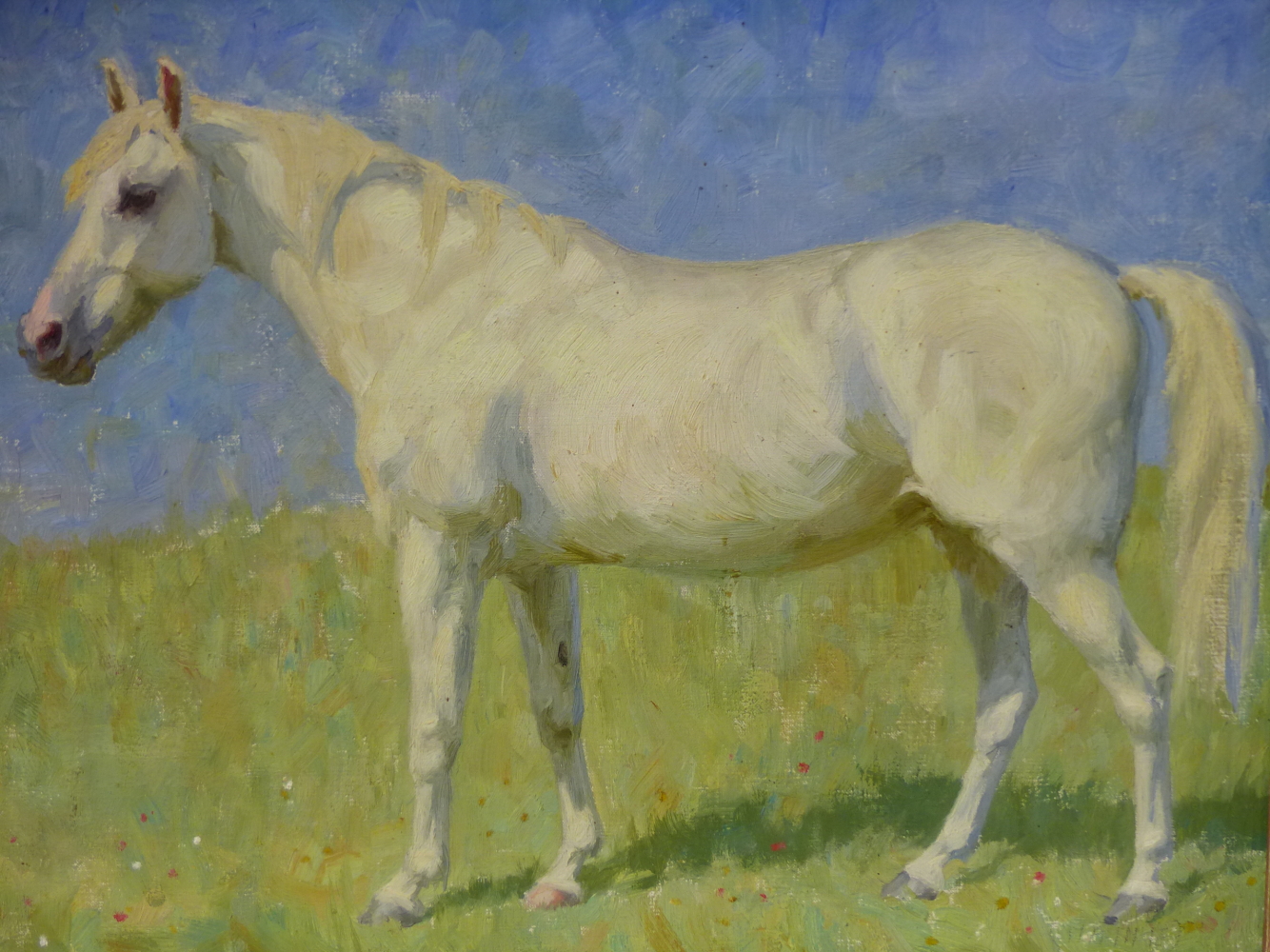 MAIMIE LOYD (20th.C. ENGLISH SCHOOL). PORTRAIT OF A PONY, MERRYLEGS. INSCRIBED VERSO, OIL ON CANVAS.