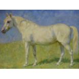 MAIMIE LOYD (20th.C. ENGLISH SCHOOL). PORTRAIT OF A PONY, MERRYLEGS. INSCRIBED VERSO, OIL ON CANVAS.