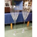 TWO OUTSIZE WINE GLASSES, THE CLEAR TULIP BOWLS ON STEMS AND CIRCULAR FEET. H. 101cms.