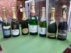 SPARKLING WINE, TWO MAGNUMS OF FIZZECCO, TWO BOTTLES OF CAVA, TWO FRENCH SPARKLING WINES, A BOTTLE