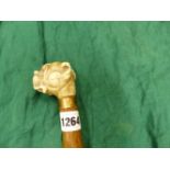 AN IVORY BOXER HEADED WALKING CANE WITH GILT BAND