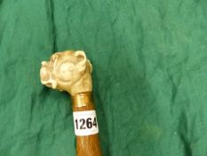 AN IVORY BOXER HEADED WALKING CANE WITH GILT BAND