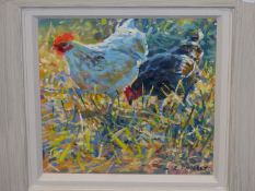 L. DINGLEY (b. 1959). ARR. CHICKENS. SIGNED, OIL ON BOARD. 20 x 20cms.